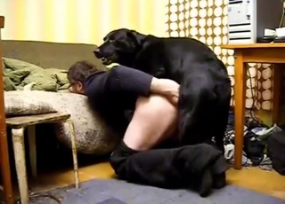 Creampie er 97% sikker, når en hund fucker dig