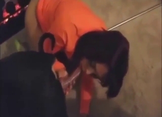 Zoo XXX with an orange get-up gal fucking dog