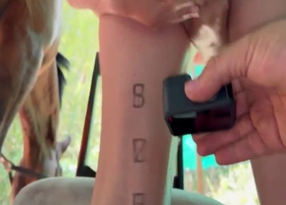 Zoo sex outdoor scene with a breasty lady