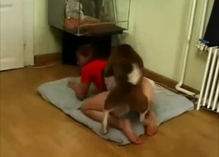 Zoo XXX movie with a slutty dog that gapes her