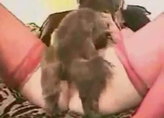 順從的寵物愛好者張開雙腿迎接愛犬，肌膚在柔和光線下閃耀，充滿激情與親密的互動瞬間 cinematic close-up