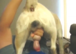 Hot fellatio for a beast that needs hot oral