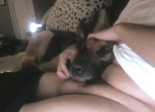 His blowjob bestie is the dog that sucks him off