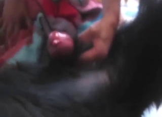 Hispanic hottie shows what she can do with dick