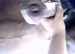 Real zoo XXX showing a horse cock stroked