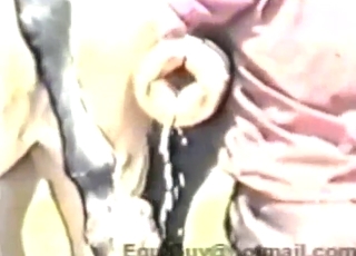 Horse pussy is going to be ruined, HOT close-ups