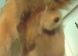 Zoo sex starts with some nice dick play up close