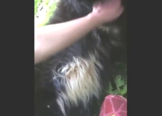 Outdoor HJ from a nice-looking zoophile hand