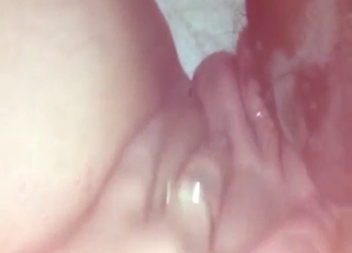 Svart hund slikker hottie med tunga i nærbilde