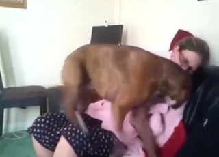 戴著黑框眼鏡的成熟御姐，眼神中透出濃濃的渴望，正與愛犬親密互動，肌膚泛著誘人光澤，充滿野性與知性交織的慾望氛圍。