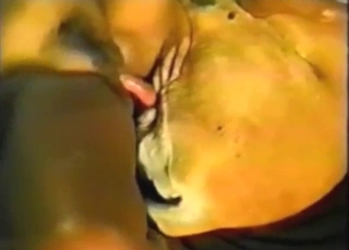 Zoo sexual zoophile riding brown dog dick cinematic close-up wet skin texture