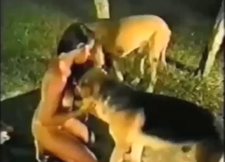 Zoo XXX: une zoophile salope prend un gland de chien en gros plan avec texture humide