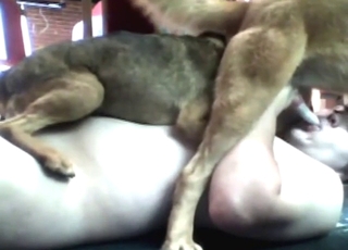 pale ladke ko sakht lund par kutiya chadhti hai