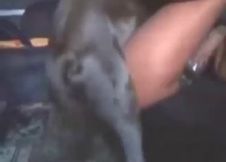 Zoo porn with a dog that fucks a tight hole
