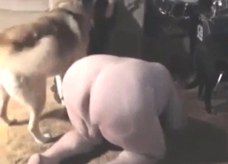 Zoo sex with femdom elements and taboo play