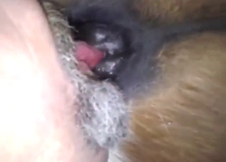 Zoo porn mein ek chutiy mare ki fingering ka nazara, jo bahut hi khoobsurat hai