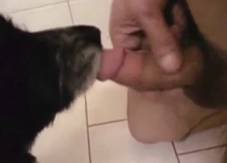 Bestiality porn sublime scene showing a nice licking sesh with intimate details