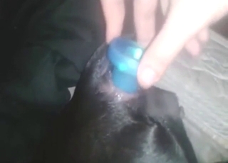 黑色狗肛门爱，湿漉漉的尾巴轻摇，人皮泛着汗珠光泽，深情交融，动态自然光，8K高清细节。