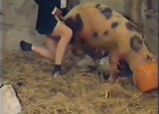Pig-fucking older guy also seduces a lady