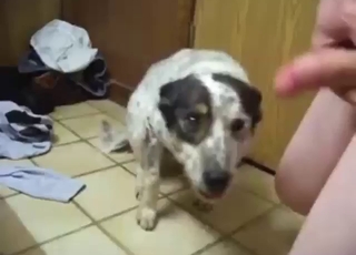 Жаркий анальный секс в зоопарке, много нежной прелюдии и страсти