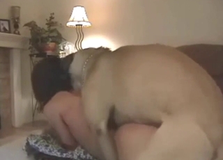 黒髪の女性が犬の陰茎で絶頂し、声を出して汗ばんだ肌を光らせる