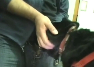 Incredible dog fuck scene: a guy who fucks mouth