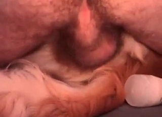 Dude is using his retriever for nasty enjoyment