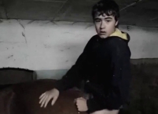 Stallion fucked her wide-opened wet cunt so hard