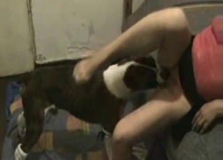 Shaved cunt nicely licked by a sweet young animal