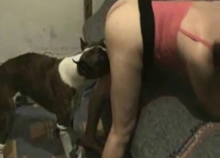 Shaved cunt nicely licked by a sweet young animal