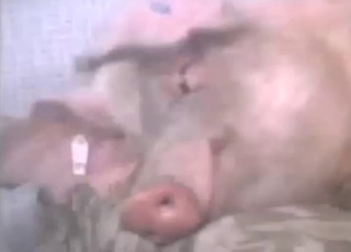 Brutal zoophilic sex with a fat-bottomed chick