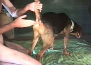 Ação bestial suja com minha esposa, suor e textura detalhada