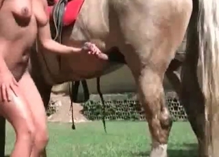 Azione anomala di sesso equino nella fattoria senior, atmosfera intima e dettagliata.