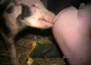 Filthy entertainment for a really nasty zoophile
