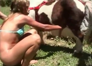 Fin ung häst och obsena zoofiler i en intim atmosfär med detaljerad textur.