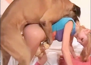 Sıcak yavru köpek sıkı nemli puppuyu sertçe döverken çılgınca fışkırıyor.