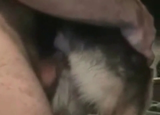 Zoofila de granja y bestia encantadora en ambiente rústico con texturas húmedas y naturaleza