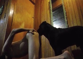 訓練有素且順從的動物，深情舔舐著濕潤多汁、鮮嫩欲滴的原始陰道，展現極致的親密互動。