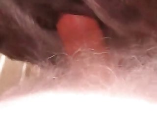 Amazing stallion is getting banged really hard