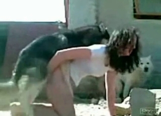 Uderzająca brązowowłosa uprawia dziki seks z psem na świeżym powietrzu, otoczona zmysłową atmosferą