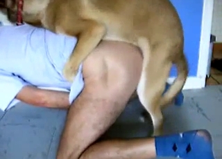 Kinky person gets some ass eating action from a horny dog