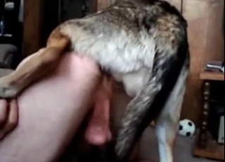 Il sesso bestiale più sexy e sporco, un'azione animalesca e selvaggia