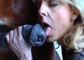 Lovely blonde girl passionately banging with a handsome stallion in an intimate scene