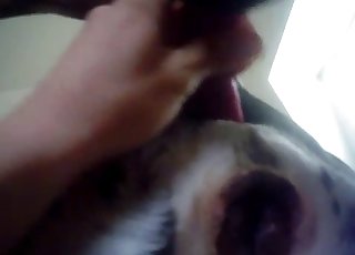 Nice to see how this big cock cums a huge load