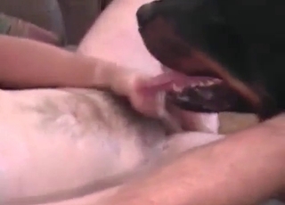 Fellow gets entirely abused by a really kinky doggo