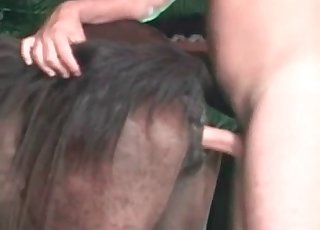 Insatiable man wants to fuck this really hot animal