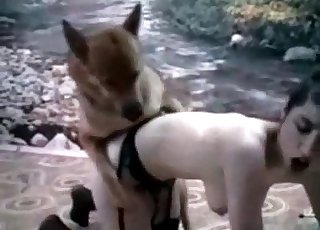 Wide ass brutally fucked by a horny shepherd