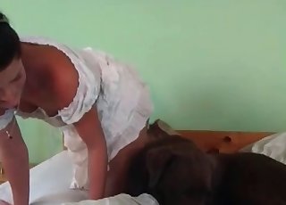 Handsome doggo is giving some oral pleasure to a woman