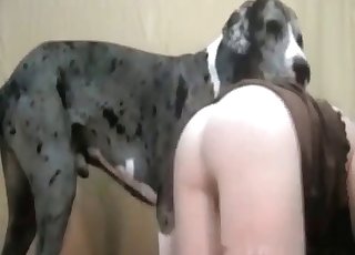 Dog Lick Teen - Licking Videos / Zoo Zoo Sex Porn Tube / Most popular Page 1