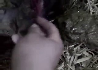 All sorts of great animal sex is filmed in here